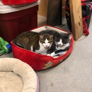 Meet your Posher, Travis